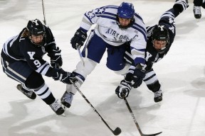 字母哥重返赛场，险胜首场状态出色，阿森纳观众沸腾！全场沸腾不已